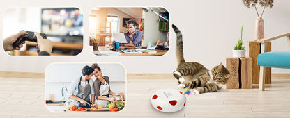 Interactive Whack-A-Mole Cat Toy