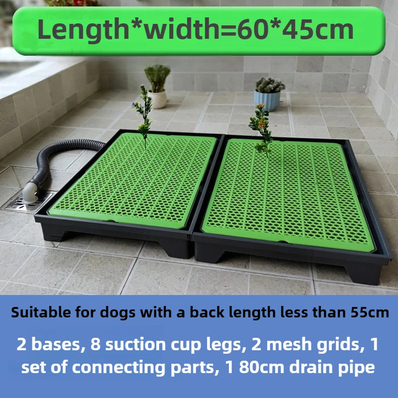 Flush Dog Toilet with Direct Drainage System