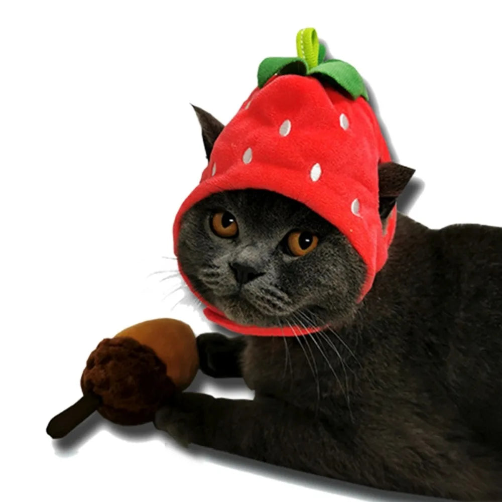 Cute Fruit Shape Pet Hat