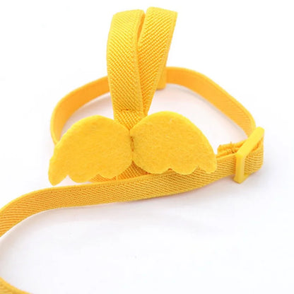 Parrot Training Harness & Anti-Bite Leash Set