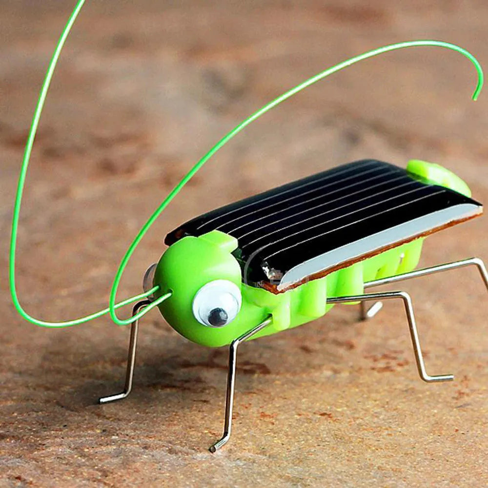 Solar Grasshopper Educational Toy