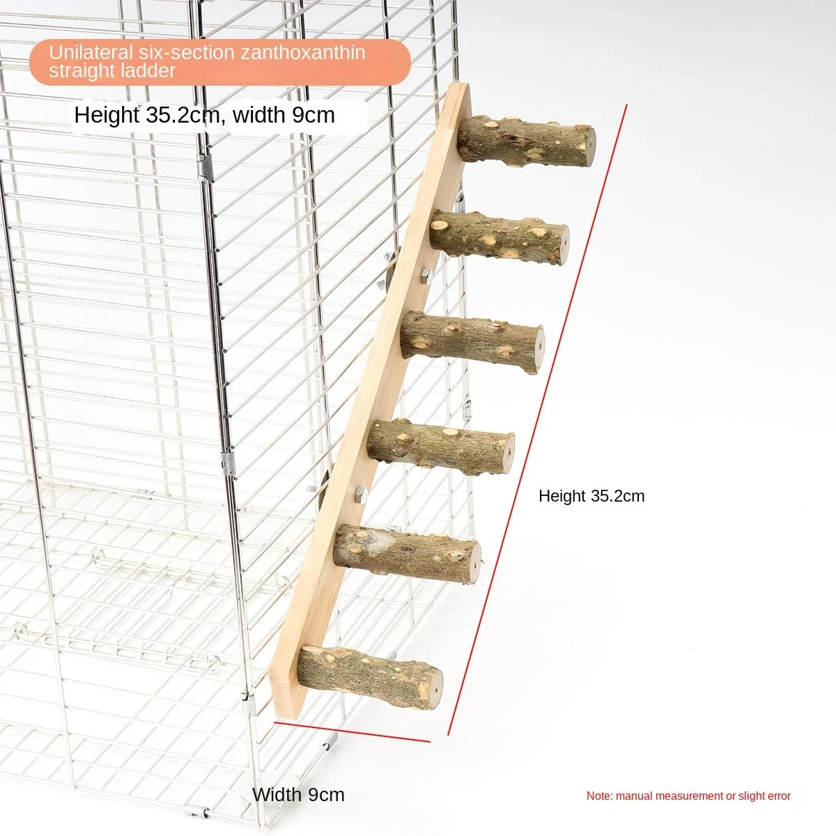 Bird Climbing Ladder