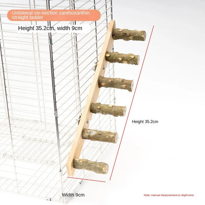 Bird Climbing Ladder