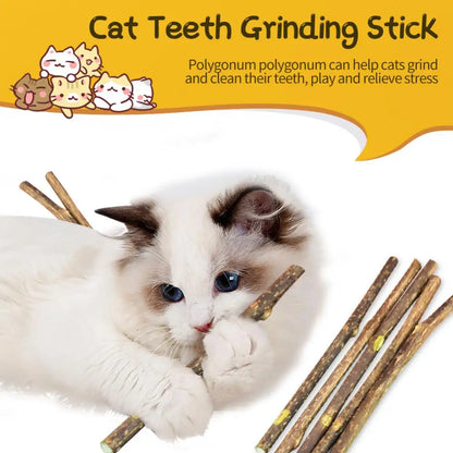 Natural Silvervine Cat Chew Sticks