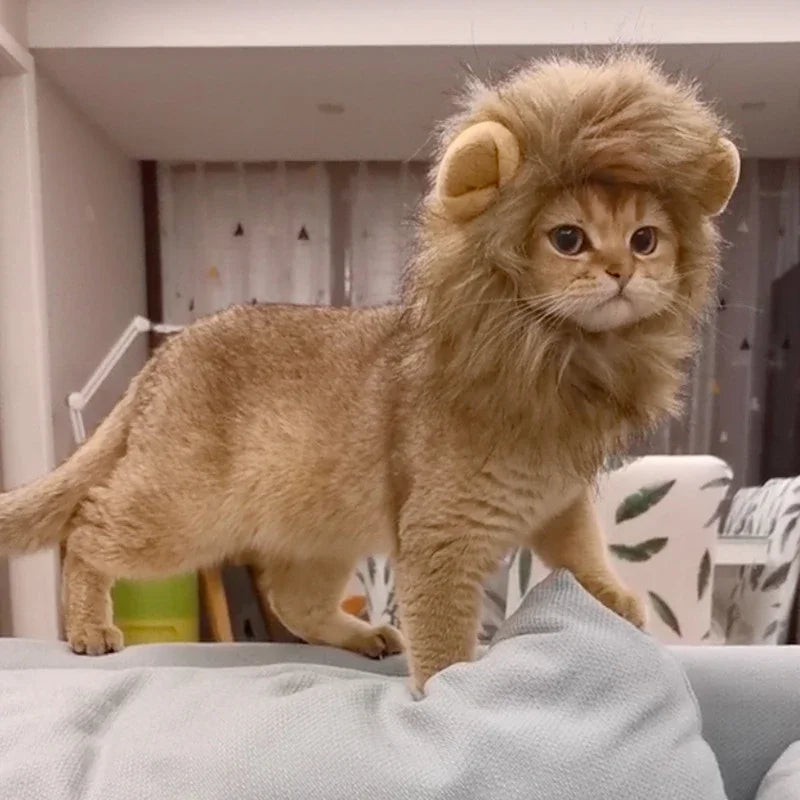 Lion Mane Costume for Cats & Dogs