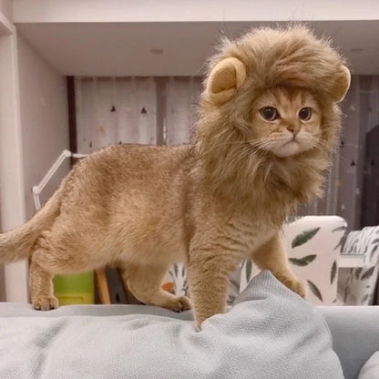 Lion Mane Costume for Cats & Dogs
