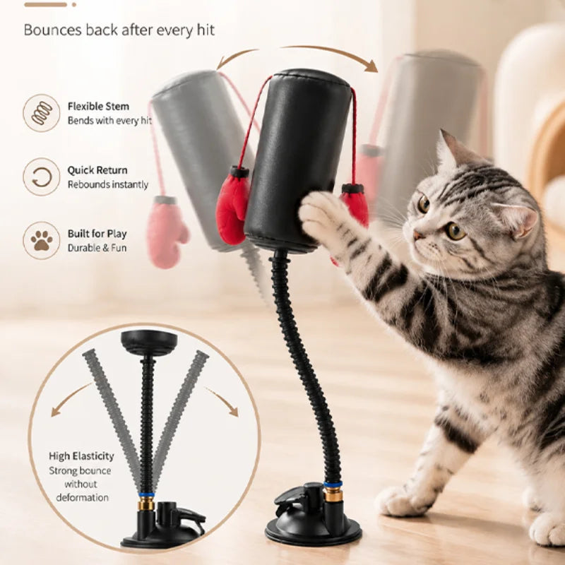 Interactive Cat Boxing Toy