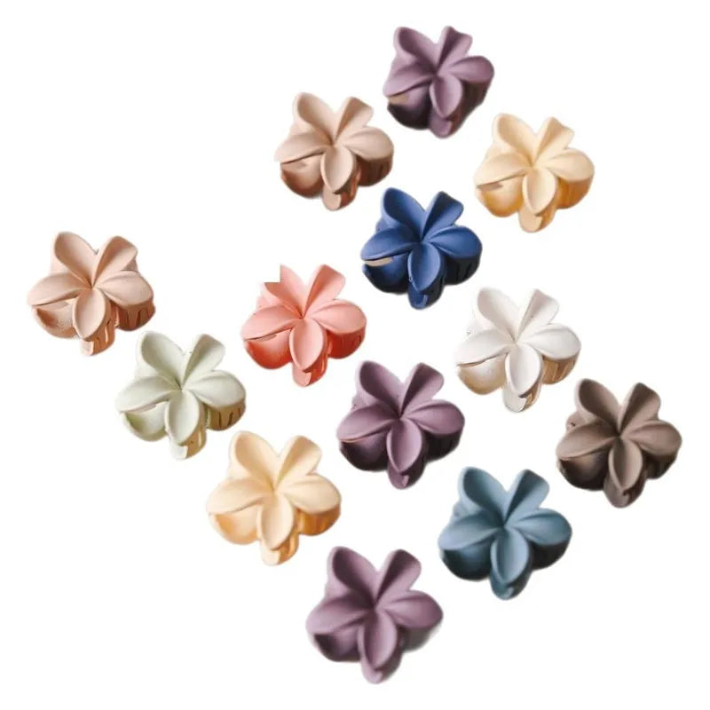 Flower Frosted Hair Claw Clips Set