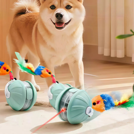 Interactive Rechargeable Rolling Pet Ball Toy