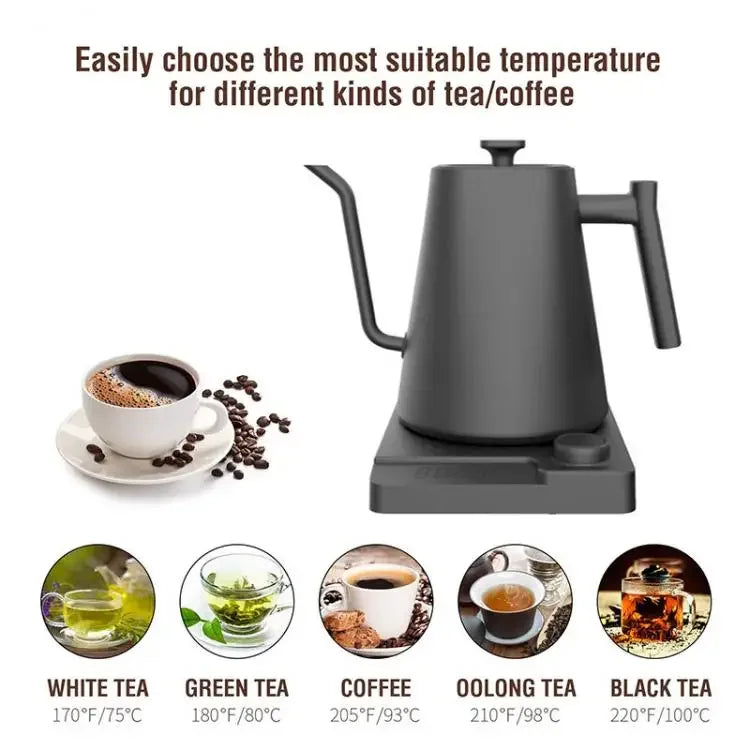 Stainless Steel Variable Temperature Gooseneck Coffee & Tea Kettle