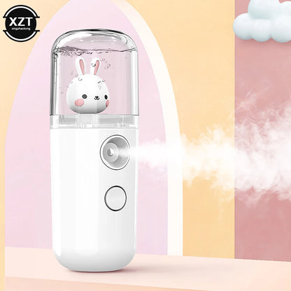 Portable Air Humidifier 30ml USB Atomizer