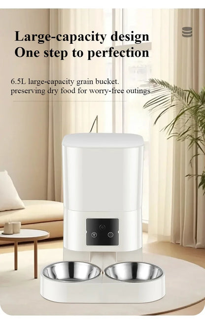 Programmable Timed Dry Food Dispenser for Cats & Small Dogs