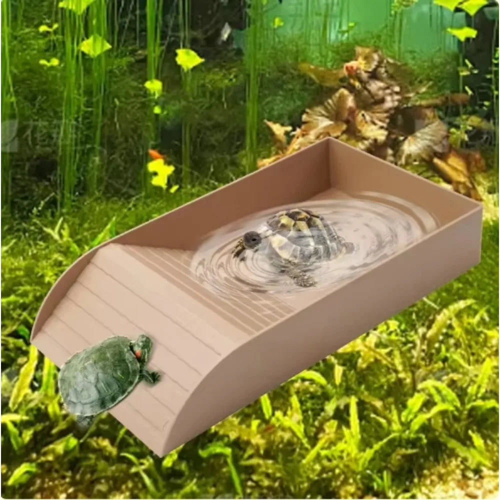Reptile Bathing Pool with Ramp