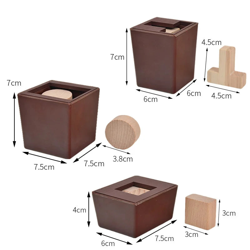T-Shaped Wooden IQ Puzzle Game