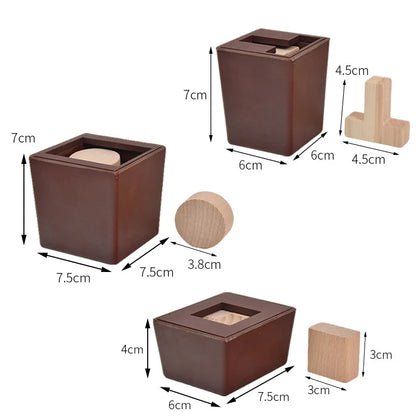 T-Shaped Wooden IQ Puzzle Game