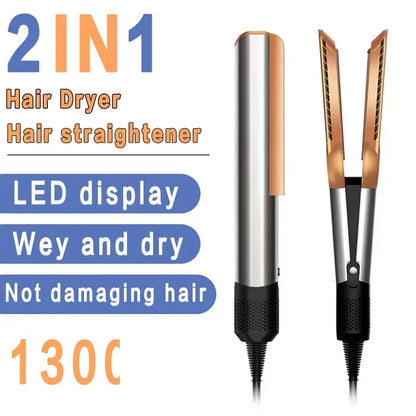 2 in 1 Professional Hair Dryer Straightener