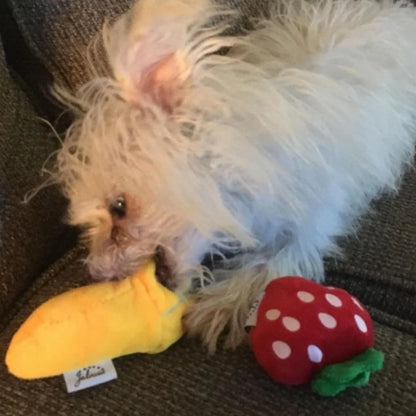 Plush Fruit & Vegetable Squeaky Dog Toy Collection