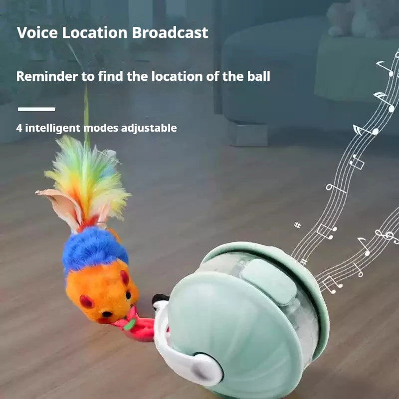 Interactive Rechargeable Rolling Pet Ball Toy