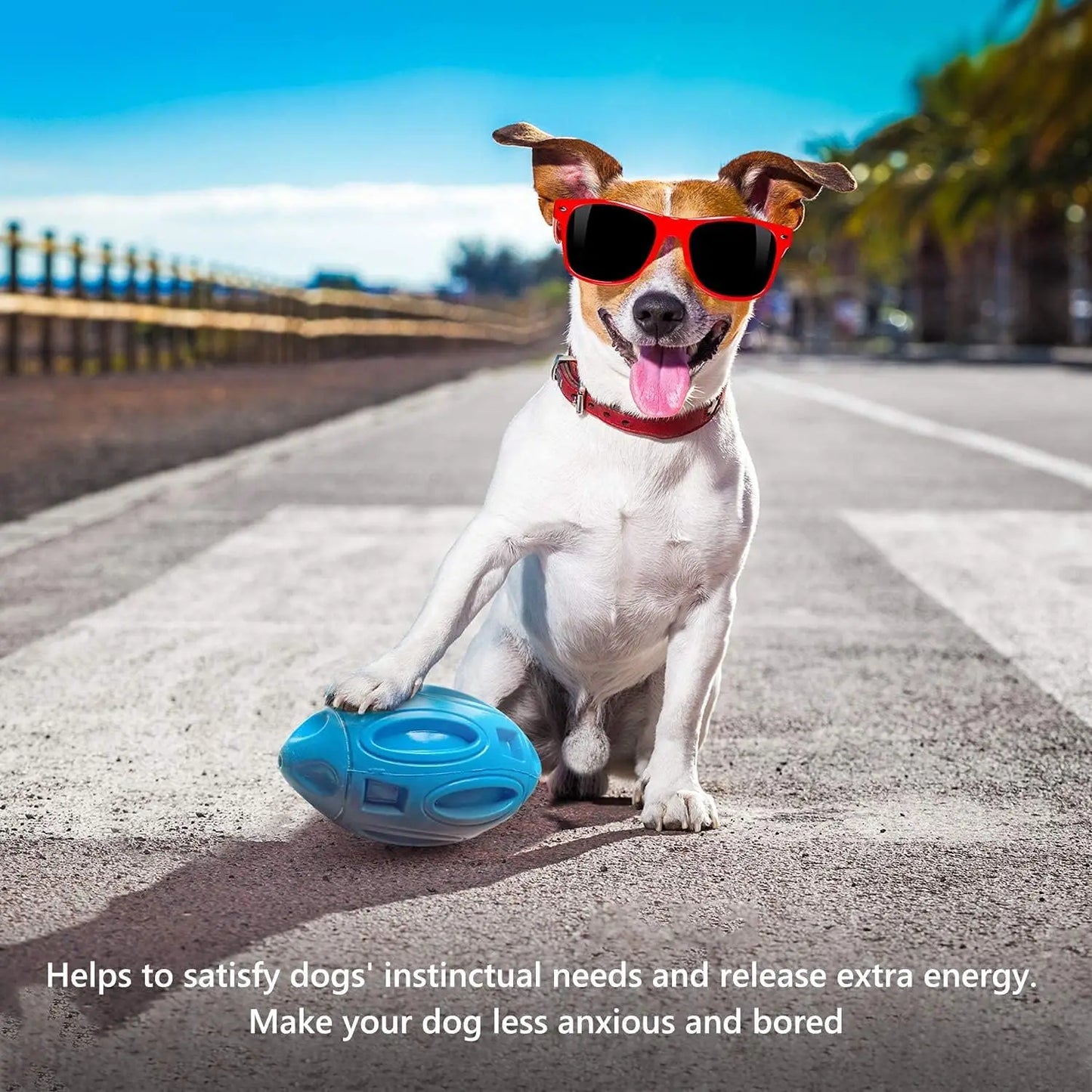 Durable Rubber Squeaky Dog Chew Ball Toy
