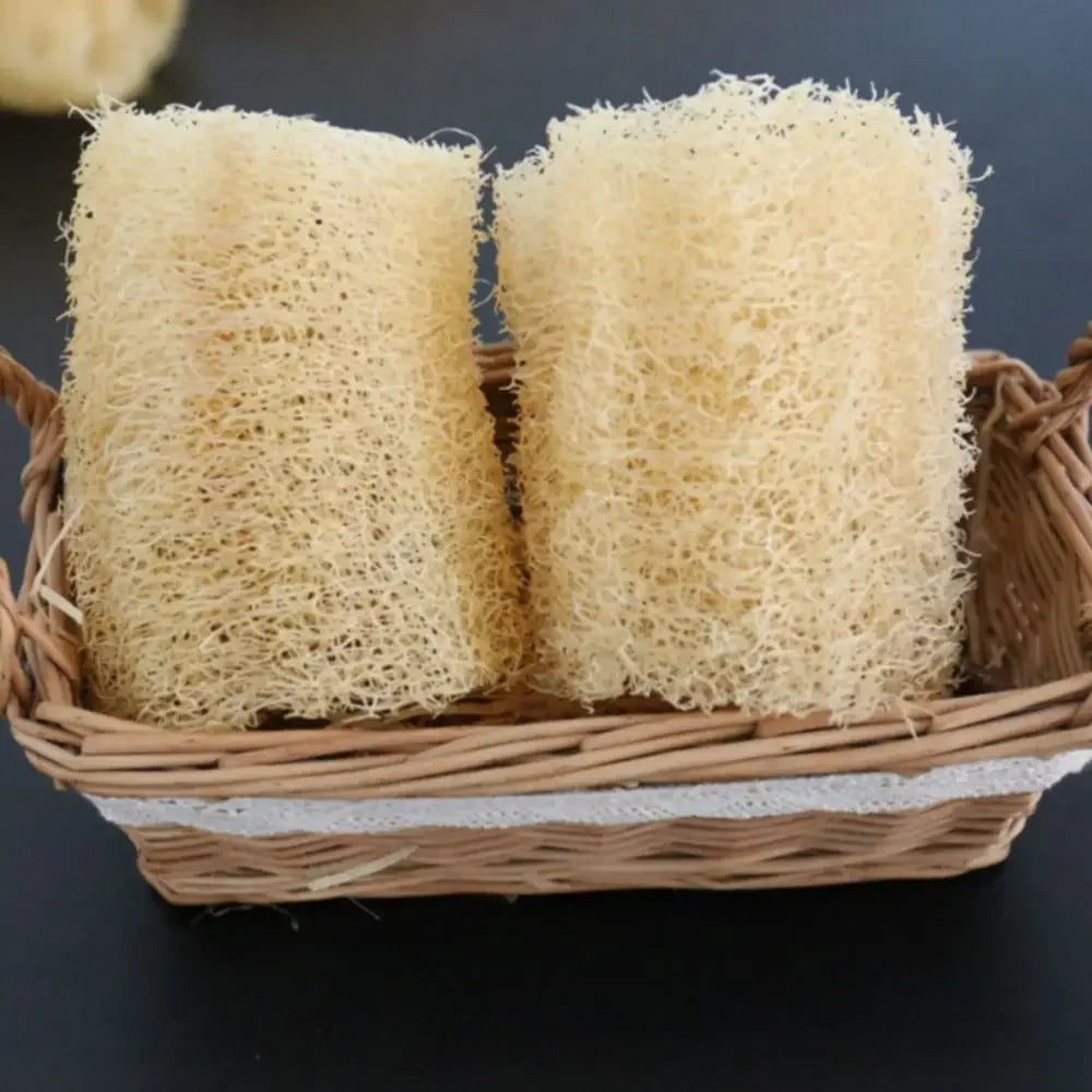 Natural Loofah Luffa Cleaning Sponge