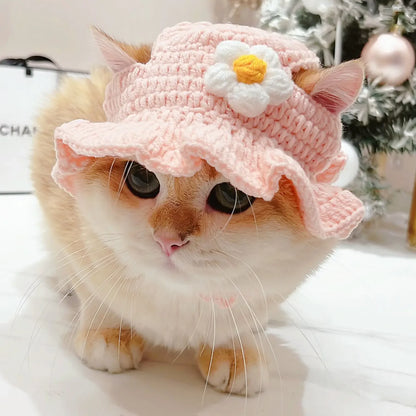 Autumn & Winter Knitted Cat Hat