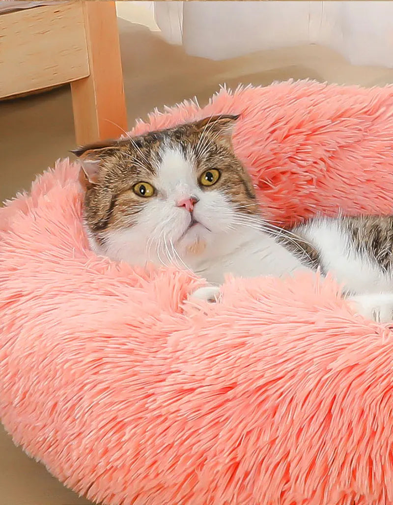 Calming Plush Donut Pet Bed