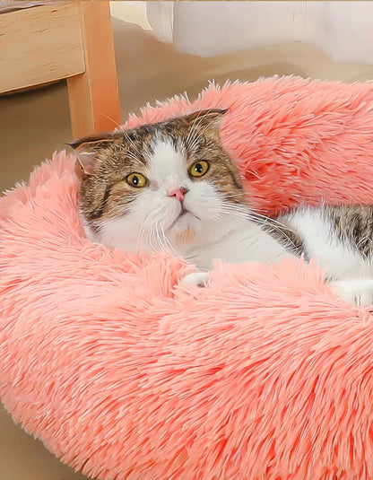 Calming Plush Donut Pet Bed
