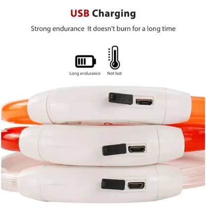 LED Light Up Dog Collar with USB Charging