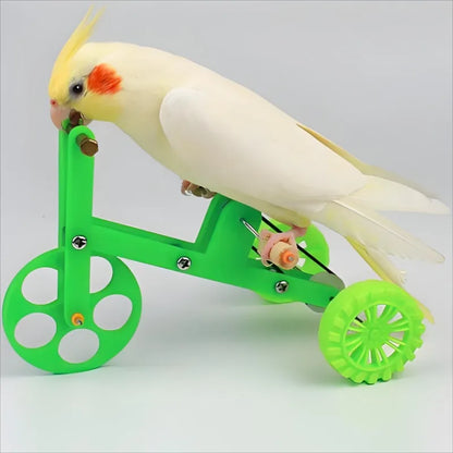 Interactive Parrot Bicycle Toy