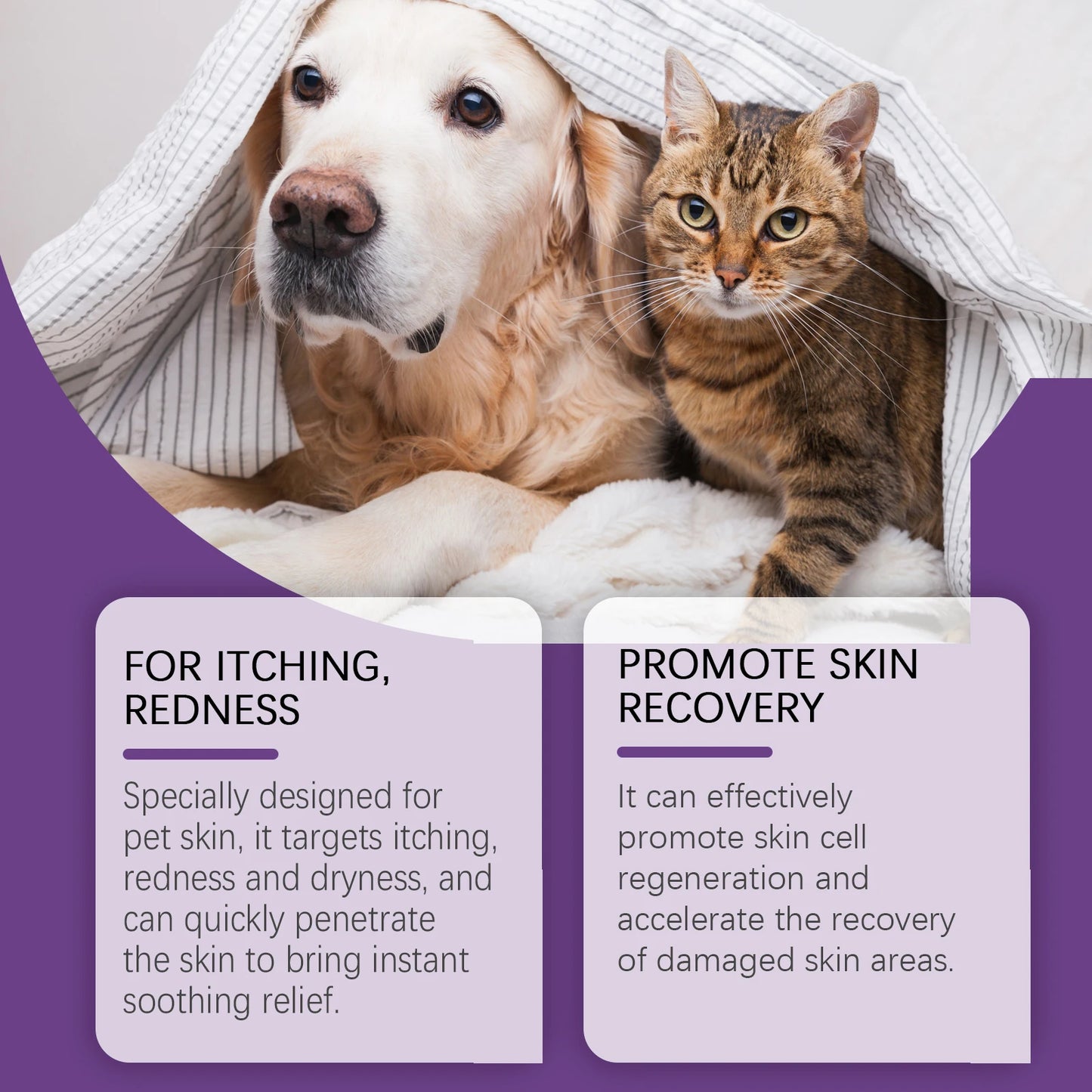 Natural Soothing Skin, Nose & Paw Balm for Dogs & Cats – 20g
