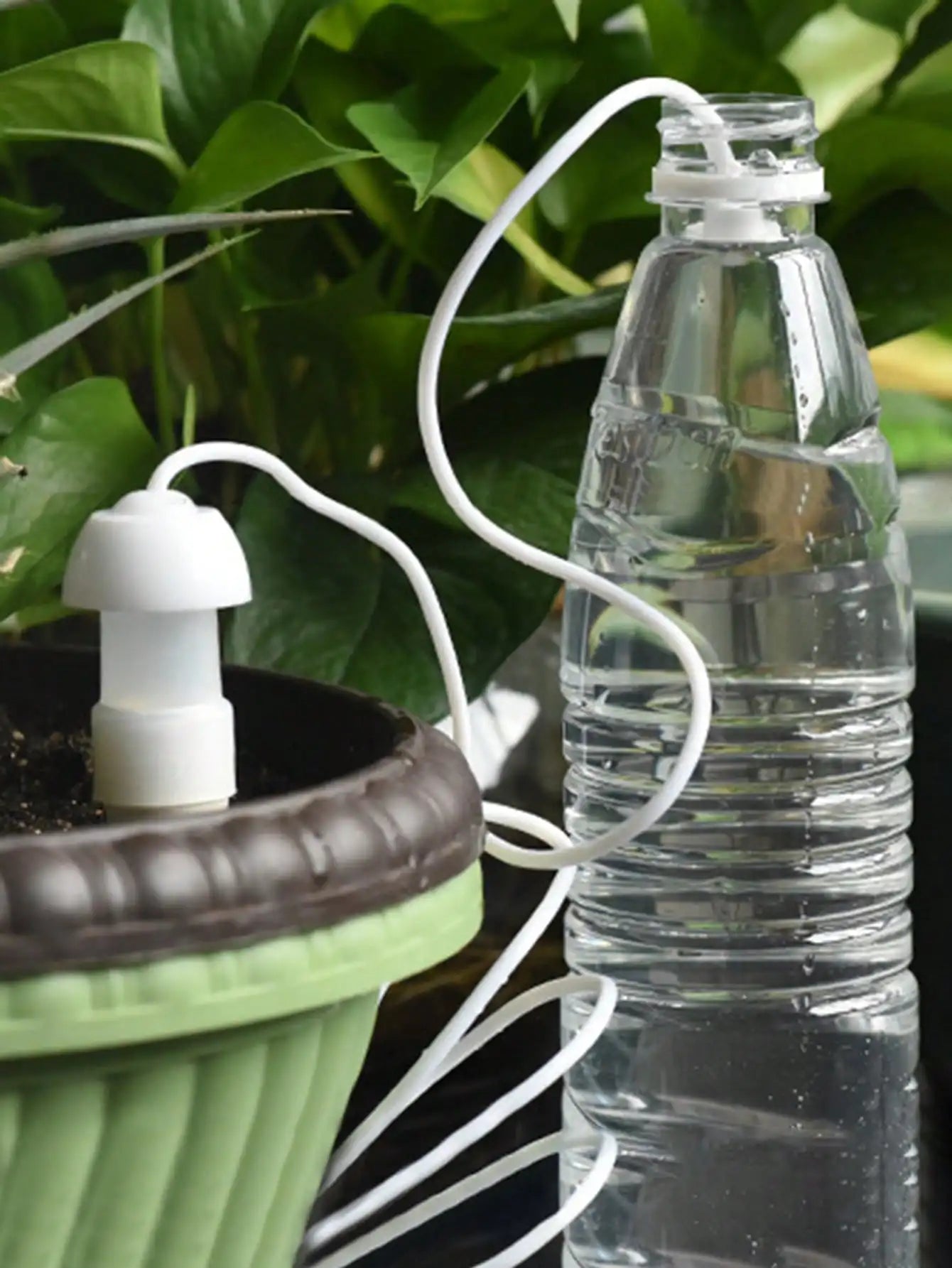 Ceramic Watering Spikes Set