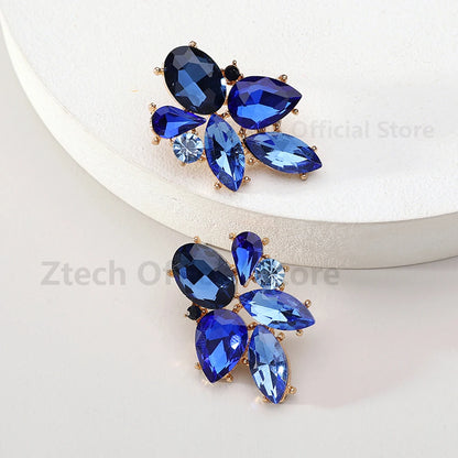 Colorful Crystal Charm Earrings