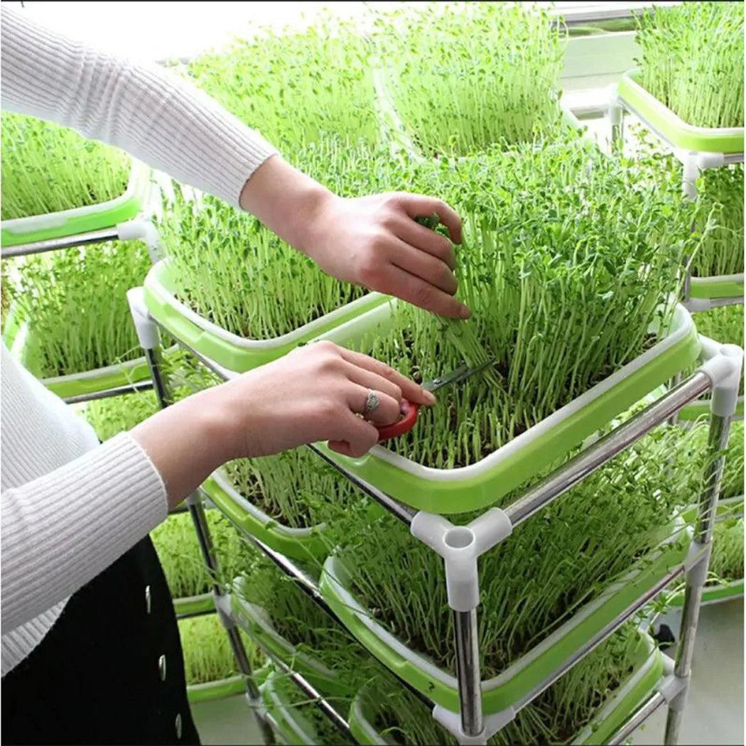 Microgreens Sprouting Tray