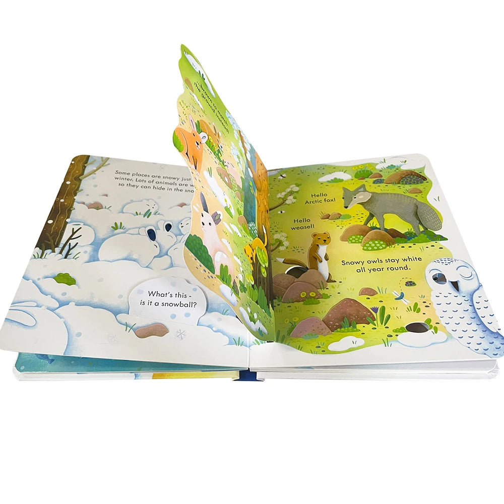 Usborne Peep Inside Snowy Places Children’s Picture Book