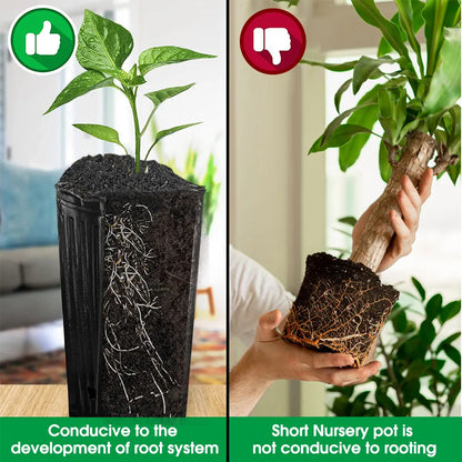 Tall Square Nursery Grow Pots