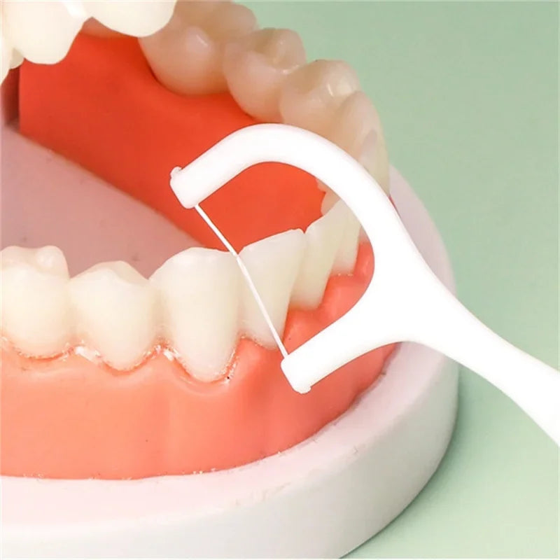 Portable Disposable Dental Floss Picks