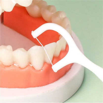 Portable Disposable Dental Floss Picks