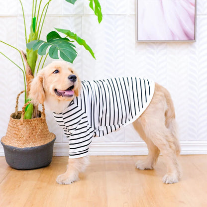 Bigeyedog Summer Cotton Dog T-Shirt