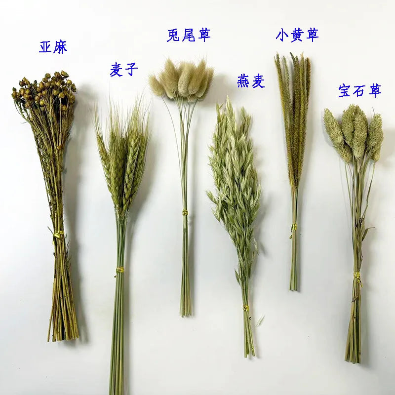 Natural Dried Flower Habitat Decor for Small Pets