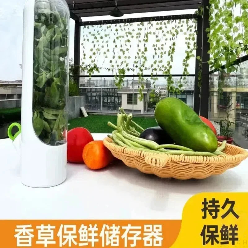 Food Fresh-Keeping Storage Box for Vegetables & Herbs