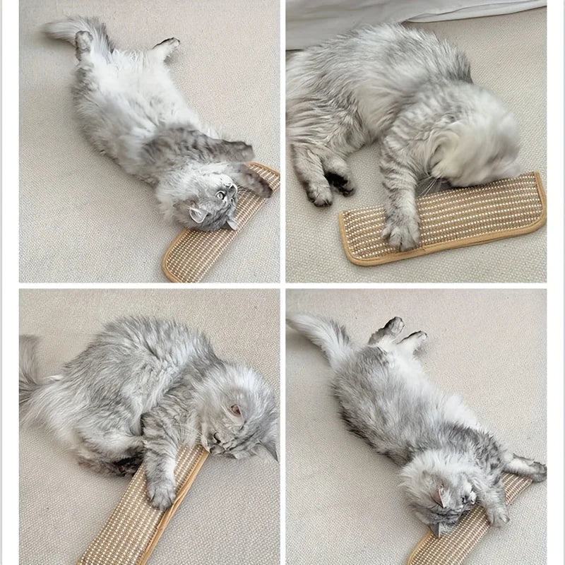 Cat Toy Pillow Scratching Pad