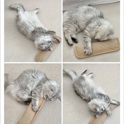 Cat Toy Pillow Scratching Pad