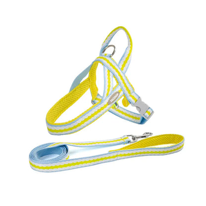 Colorful No-Pull Adjustable Dog Harness