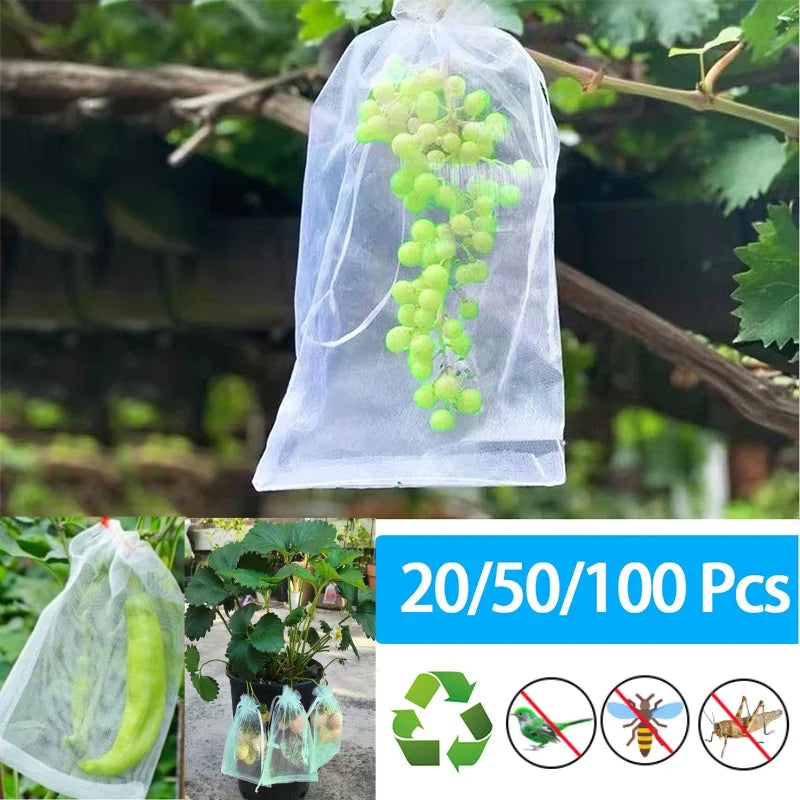 Fruit Protection Grow Bags
