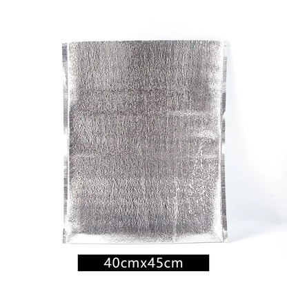 Aluminum Foil Insulated Cooler Bag