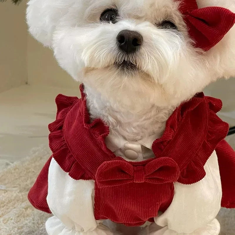 Winter Bow Knot Dog Dress