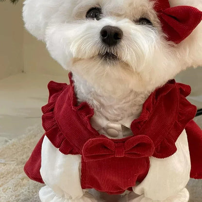 Winter Bow Knot Dog Dress