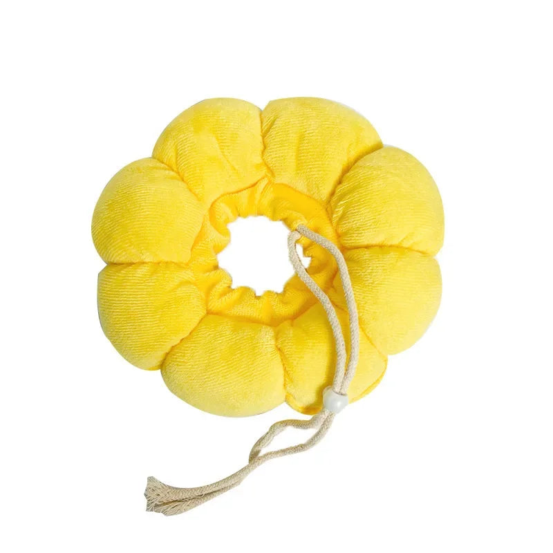 Sunflower Recovery Collar for Cats