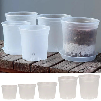 Transparent Nursery Plant Pot
