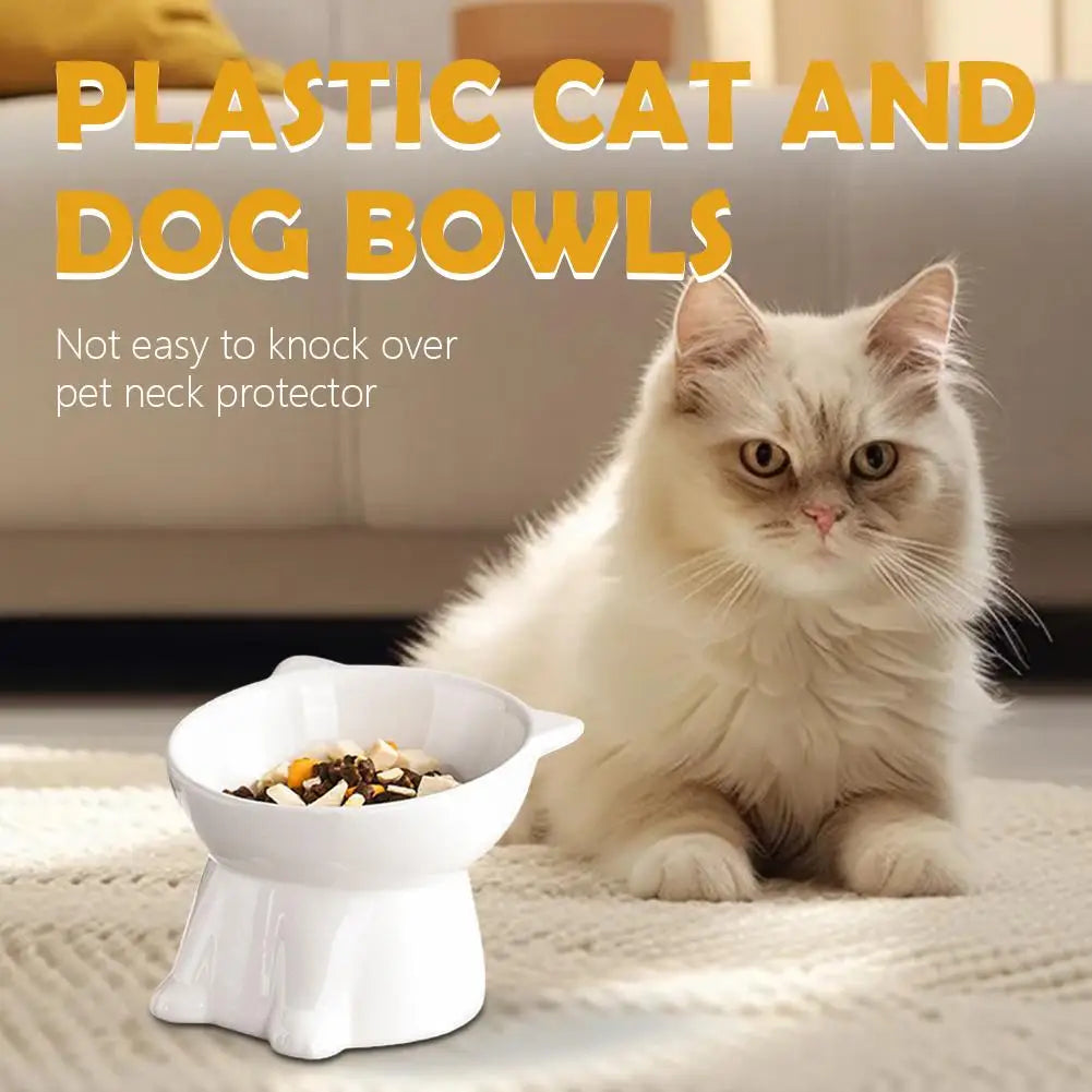 Elevated Cat Bowl with Non-Slip Base